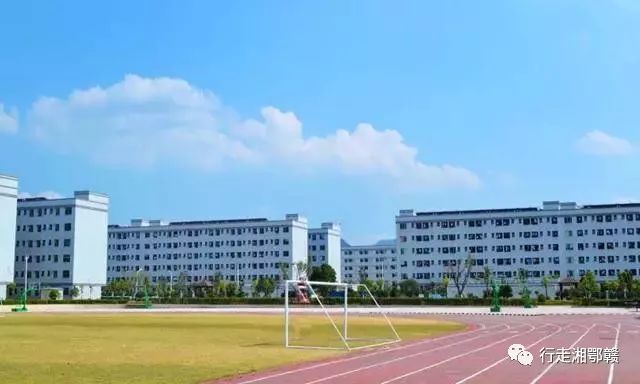 痴人说梦 江苏科技大学,江苏科技大学，痴人说梦与现实交织的奇迹之地