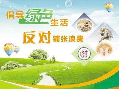 广东省重点公益林,广东省重点公益林，守护绿色长城的重要篇章