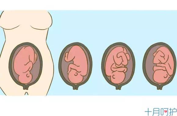 孕4个月羊水多少正常,孕四个月羊水多少正常，深度、指数及影响因素分析