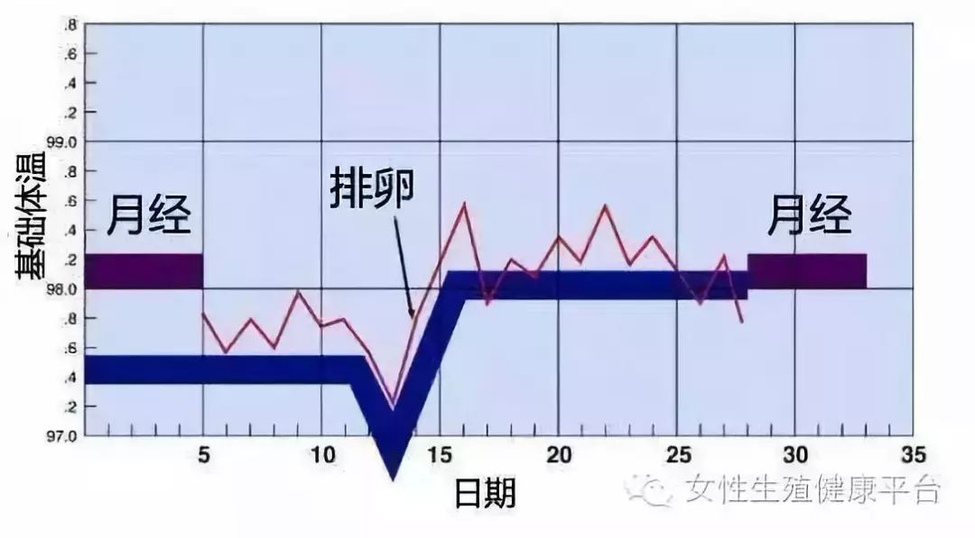 上个月排卵期没有怀孕,上个月排卵期没有怀孕，原因与应对策略