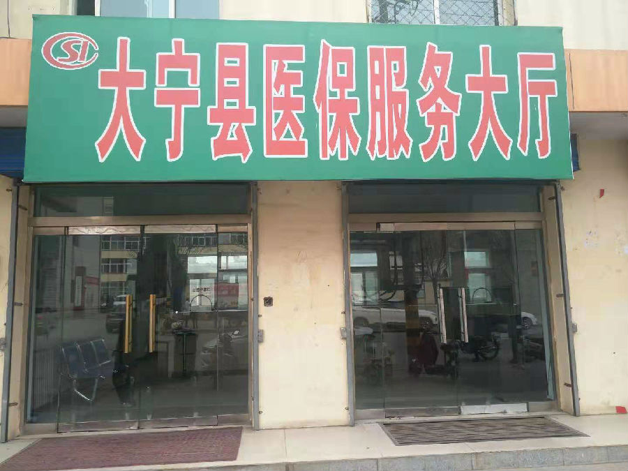 大宁县医疗保障局?最新项目,大宁县医疗保障局最新项目概览