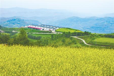沧沟乡最新领导,沧沟乡最新领导团队，引领乡村走向新辉煌