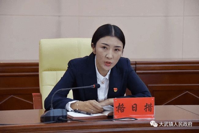 盈江县统计局最新领导,盈江县统计局最新领导团队及其工作展望