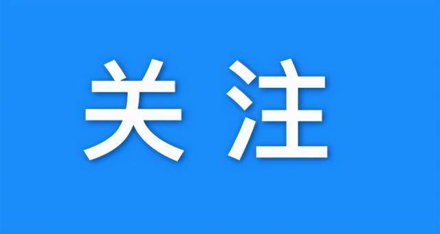 胡丹丹最新消息,胡丹丹最新消息，璀璨星途，多元发展