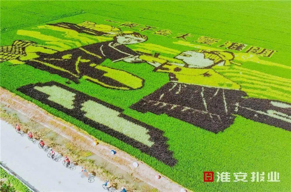 尹庄乡最新项目,尹庄乡最新项目，引领乡村发展的崭新动力
