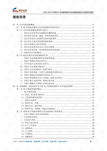 2024澳门王中王100%期期中_总结释义解释落实,澳门王中王期期预测与成功之道，深入解析与行动指南（附2024年展望）