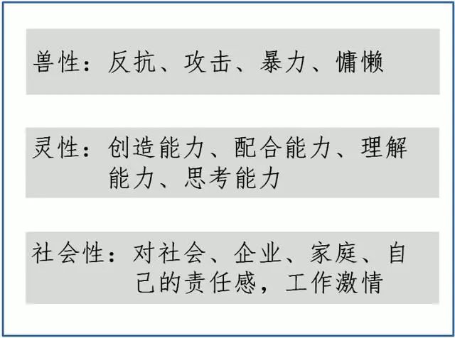 三肖三期必出特马|觉察释义解释落实,关于三肖三期必出特马与违法犯罪问题的探讨