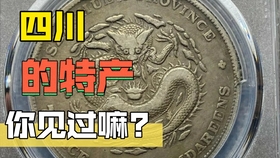 2024澳门今天晚上开什么生肖啊|杯盘释义解释落实,探索澳门生肖文化，杯盘释义下的神秘预测与解读