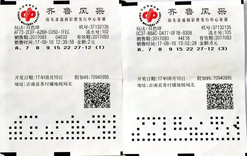 天天彩澳门天天彩|线管释义解释落实,天天彩澳门天天彩背后的犯罪问题及线管释义解释落实的重要性