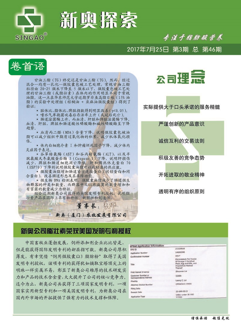 新奥天天免费资料单双|创意释义解释落实,新奥天天免费资料单双，创意释义、解释与落实