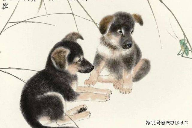 2024年新跑狗图最新版|坚固释义解释落实,探索新跑狗图，坚固释义、深入解释与有效落实——以2024年最新版为例