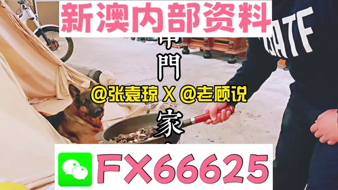 新澳门精准资料大全管家婆料|效益释义解释落实,新澳门精准资料大全与管家婆料，效益释义、解释及实施策略