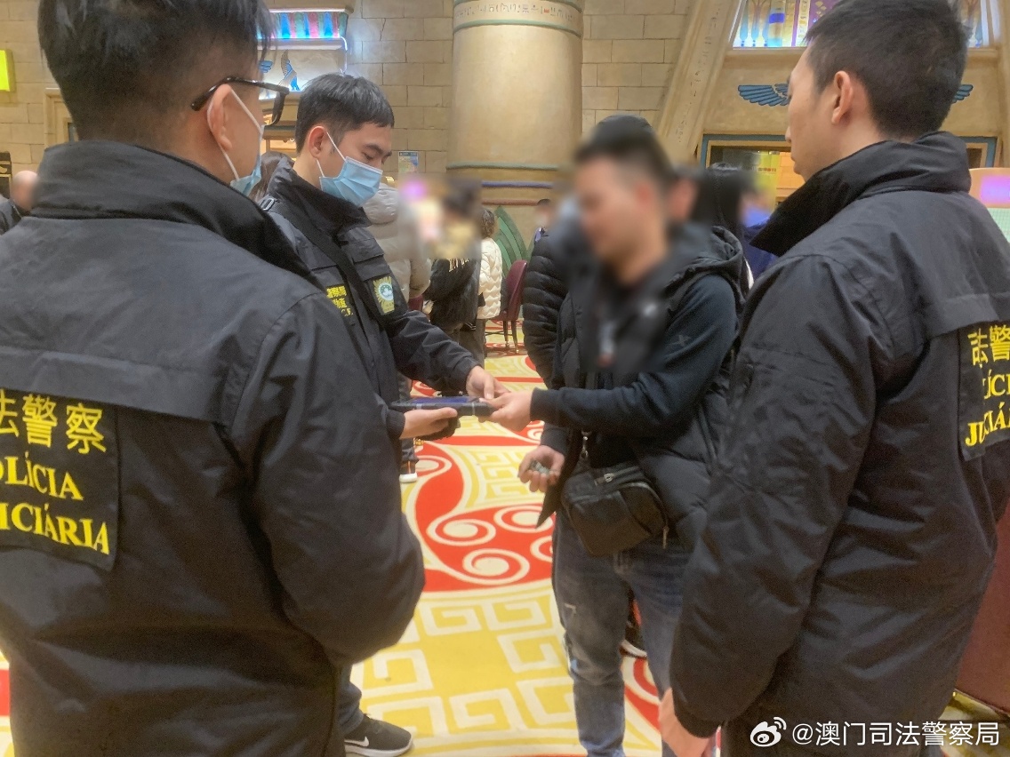 2024新澳门天天开好彩|规划释义解释落实,新澳门天天开好彩背后的规划释义与落实挑战——一个违法犯罪问题的探讨