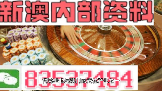 2024澳门精准正版免费大全|适用释义解释落实,关于澳门精准正版免费大全的探讨与适用释义解释落实的重要性——警惕违法犯罪问题的重要性