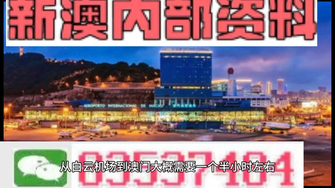 新澳门内部精准资料|良师释义解释落实,新澳门内部精准资料与良师释义，犯罪行为的解读与落实