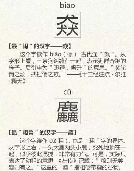 澳门最准的免费资料有吗|历史释义解释落实,澳门最准的免费资料与历史释义，探索真实与解读落实