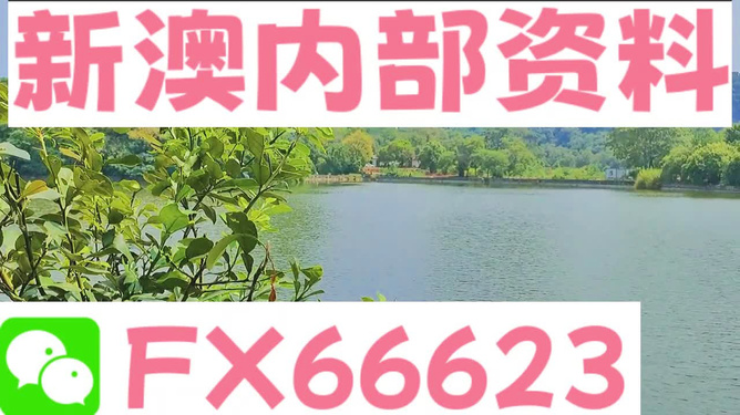 新澳精准资料免费提供4949期|坚持释义解释落实,新澳精准资料免费提供，4949期的坚持释义解释与落实