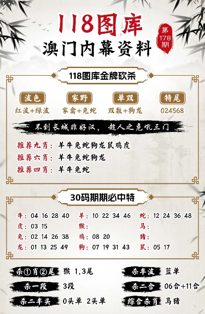 澳门凤凰网免费资料com|精明释义解释落实,澳门凤凰网免费资料com与精明的释义，落实中的智慧与策略