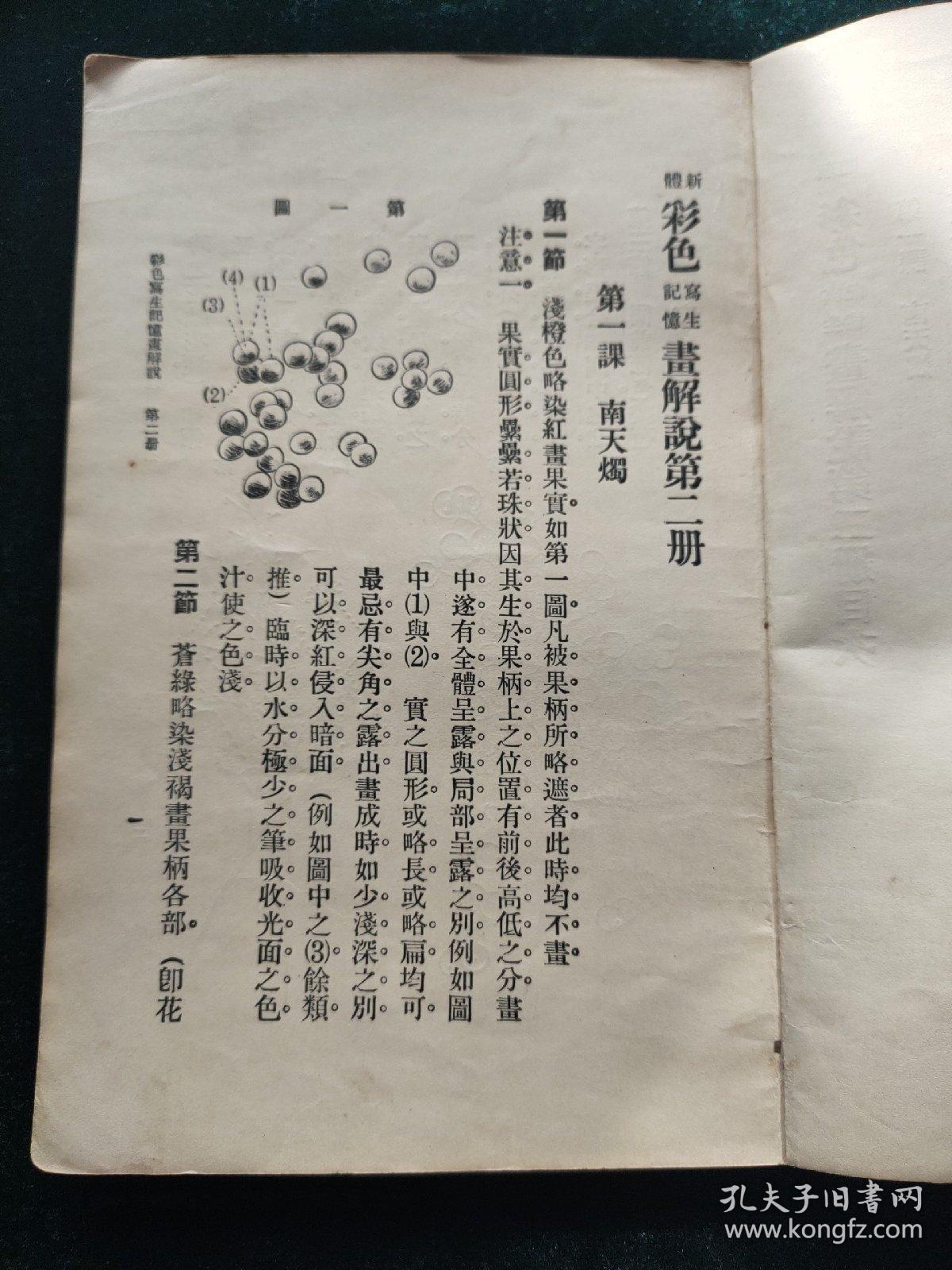 246天天天彩944cc资料大全|丰盛释义解释落实,探索246天天天彩944cc资料大全与丰盛释义的落实之路