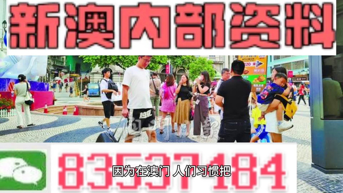 2024澳门正版免费精准大全|认定释义解释落实,澳门正版免费精准大全，认定释义、解释与落实的探讨