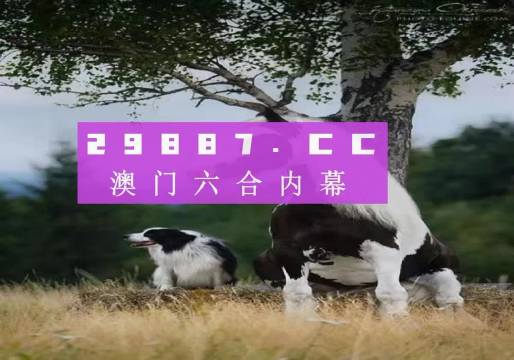 澳门今晚开特马四不像图|专断释义解释落实,澳门今晚开特马四不像图，专断释义解释落实