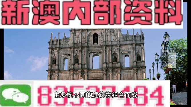 2024新澳资料免费大全|接见释义解释落实,探索新澳，资料免费大全的深入解读与落实行动
