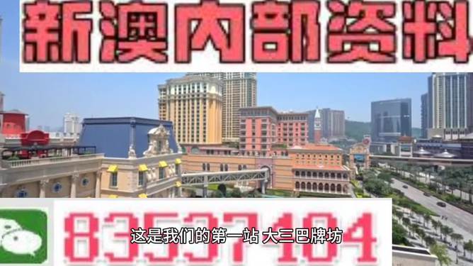 新澳门2024年正版免费公开|结实释义解释落实,新澳门2024年正版免费公开，结实释义、解释与落实