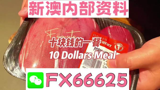 新澳精准资料|视角释义解释落实,新澳精准资料视角下的释义解释与落实策略