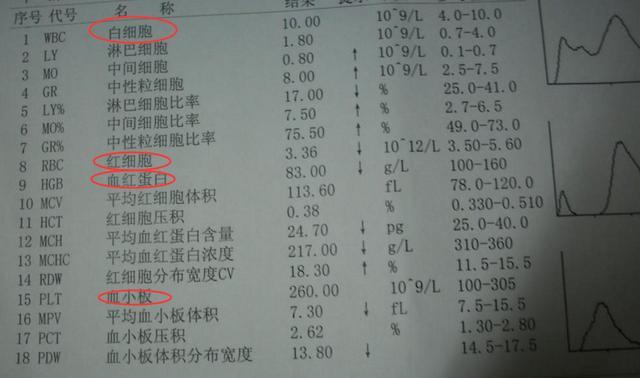 白小姐四肖四码100%准|检查释义解释落实,关于白小姐四肖四码与检查释义解释落实的探讨——警惕违法犯罪风险