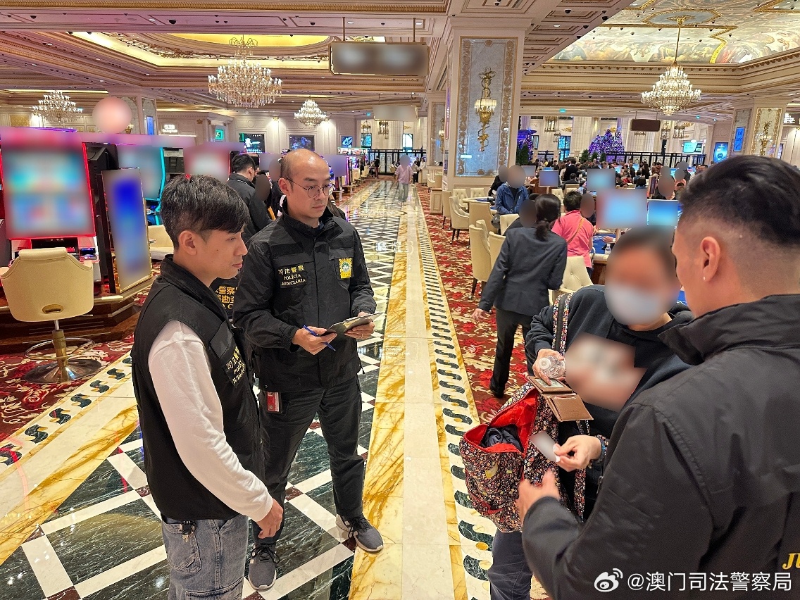 2024年澳门正版免费开奖|社群释义解释落实,澳门正版免费开奖与社群释义解释落实，一个犯罪问题的探讨