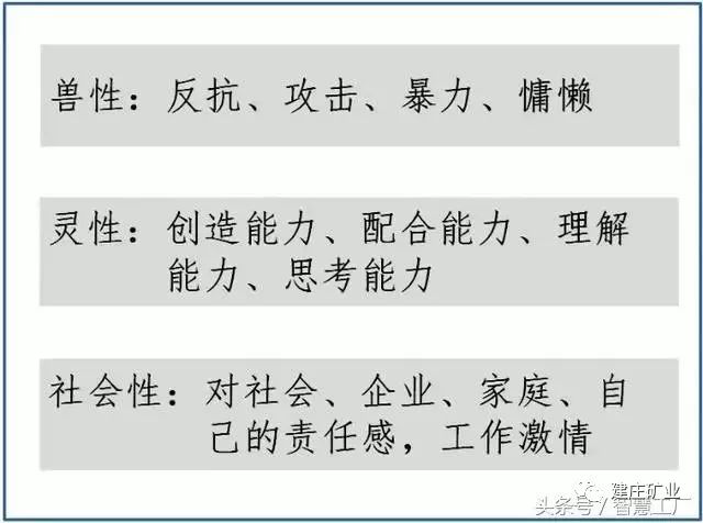 2024港澳今期资料|性响释义解释落实,关于港澳地区在2024年的最新资料及其性响释义解释落实的研究