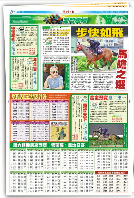 澳门王中王100的准资料|教训释义解释落实,澳门王中王100的准资料与教训释义解释落实的重要性