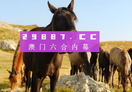 2024新澳门管家婆免费大全|研究释义解释落实,新澳门管家婆免费大全研究释义解释落实