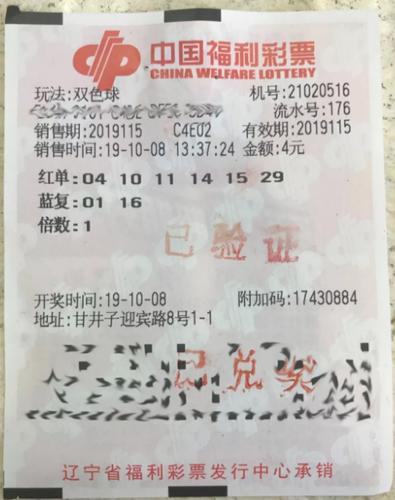 澳门天天彩免费资料大全免费查询|精心释义解释落实,澳门天天彩免费资料大全免费查询，揭示背后的真相与应对之道
