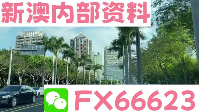 新澳精准资料期期精准|效能释义解释落实,新澳精准资料期期精准，效能释义、解释与落实的重要性