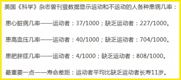 2024新澳三期必出一肖|强劲释义解释落实,关于新澳三期必出一肖的强劲释义与落实策略分析