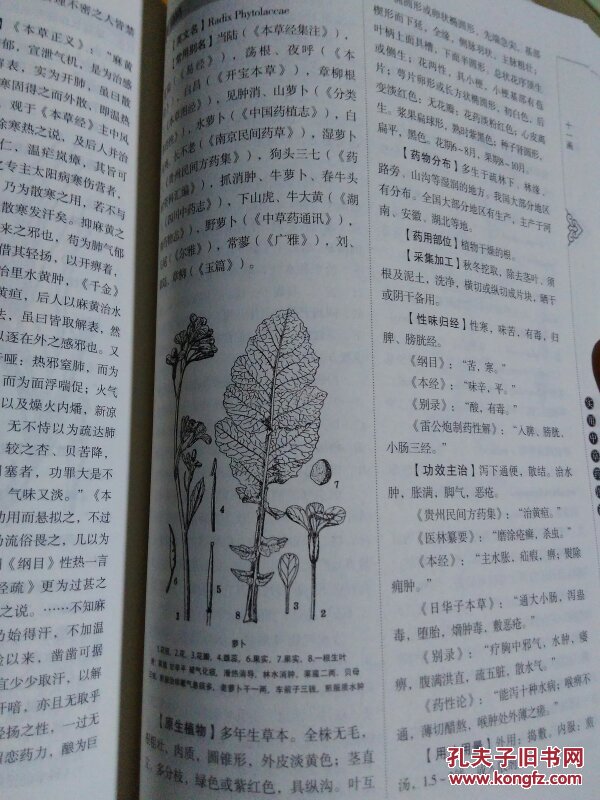 正版综合资料一资料大全|实验释义解释落实,正版综合资料一资料大全，实验释义解释落实的重要性