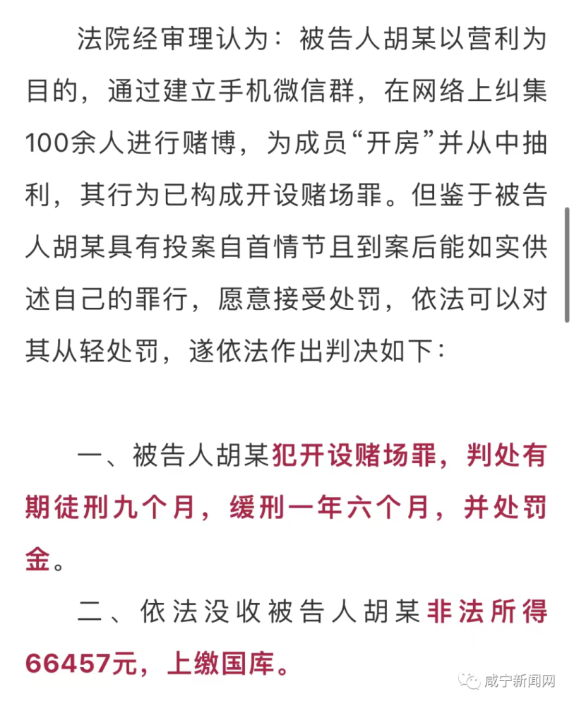 揭秘一肖一码100精准|谋划释义解释落实,揭秘一肖一码，犯罪行为的真相与防范策略