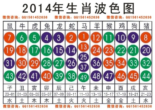 2024十二生肖49码表|进度释义解释落实,揭秘2024十二生肖与49码表，进度释义解释落实的全面指南